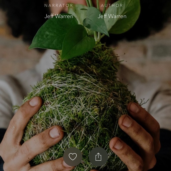 🌍5 lbs. real Air Plants OrganicReal  Live Spanish Moss Extra Long Rare C… - Picture 9 of 17